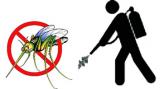 DISINFESTAZIONE